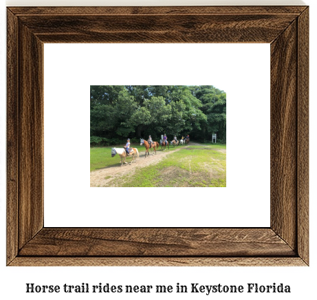 horse trail rides near me in Keystone, Florida